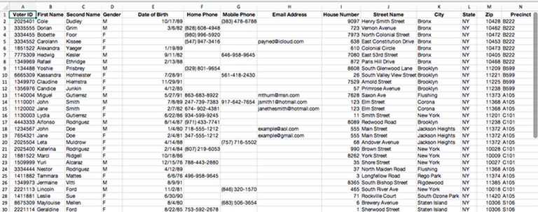 Voter Data Spreadsheet Voter Data Spreadsheet