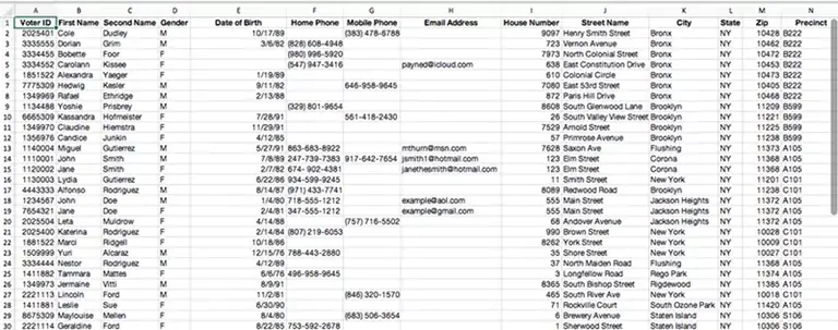 Voter Data Spreadsheet Voter Data Spreadsheet